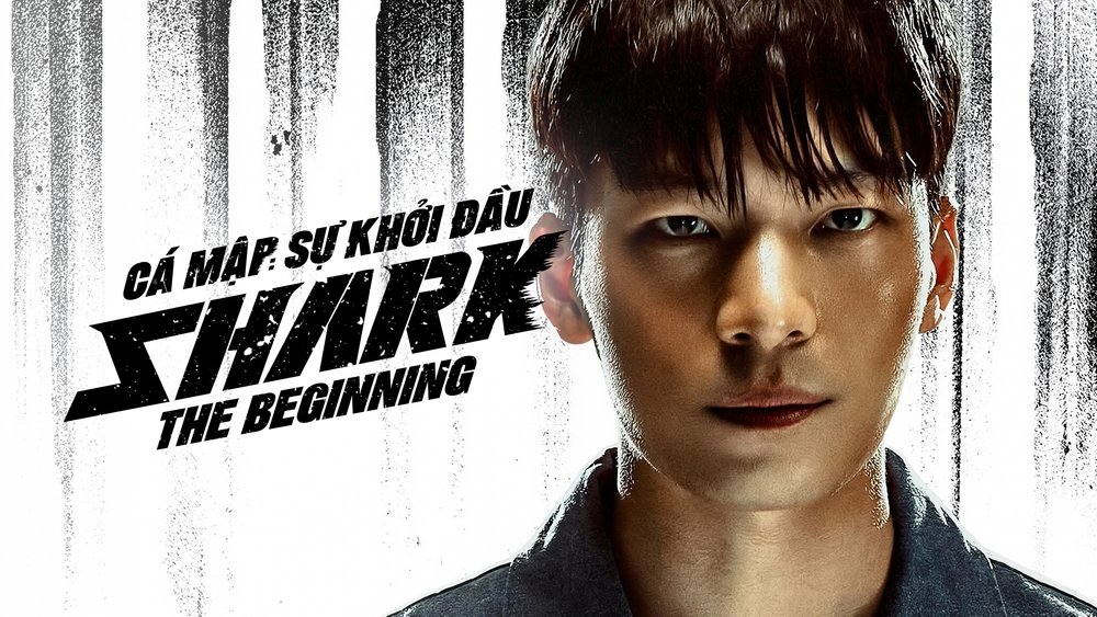 Cá Mập: Sự Khởi Đầu