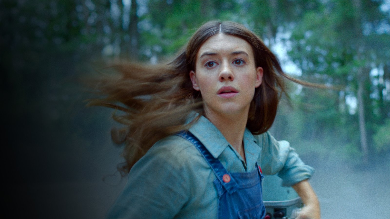 Xa Ngoài Kia Nơi Loài Tôm Hát