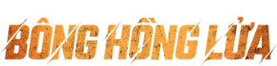 Bông Hồng Lửa