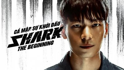 Cá Mập: Sự Khởi Đầu Cá Mập: Sự Khởi Đầu