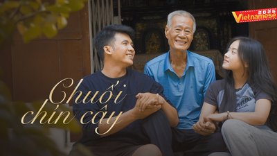 Chuối Chín Cây Chuối Chín Cây