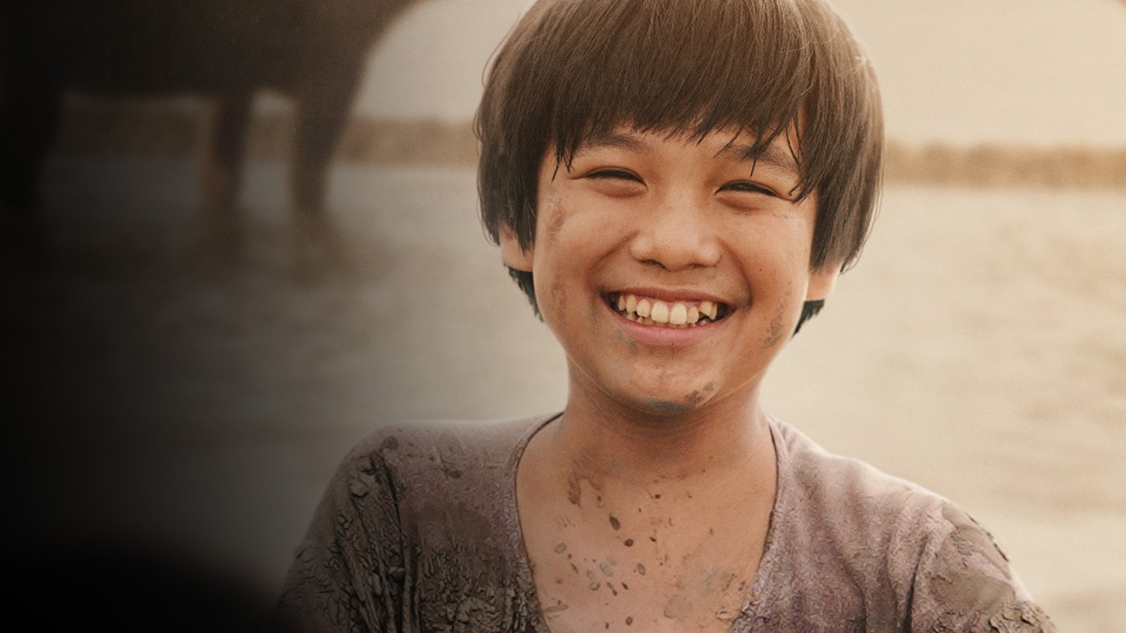 Đất Rừng Phương Nam