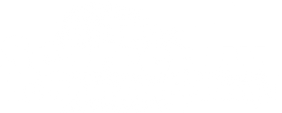 Bù Nhìn Bóng Đêm