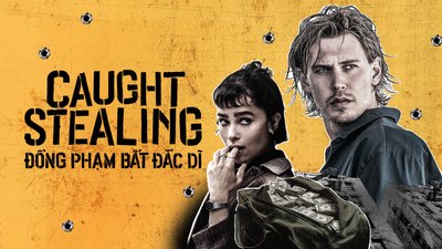 Đồng Phạm Bất Đắc Dĩ