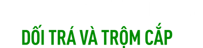 Dối Trá Và Trộm Cắp