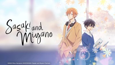 Sasaki and Miyano