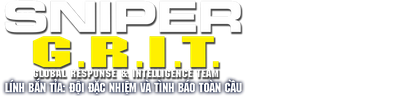 Lính Bắn Tỉa: Đội Đặc Nhiệm Và Tình Báo Toàn Cầu