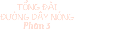 Tổng Đài Đường Dây Nóng Phím 3