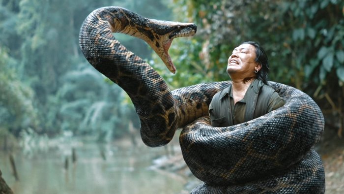 Xem phim Anaconda: Cursed Jungle có bản quyền tại Galaxy Play