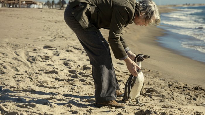 Bạn Tôi Là Chim Cánh Cụt